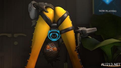 用了多名 用了多名